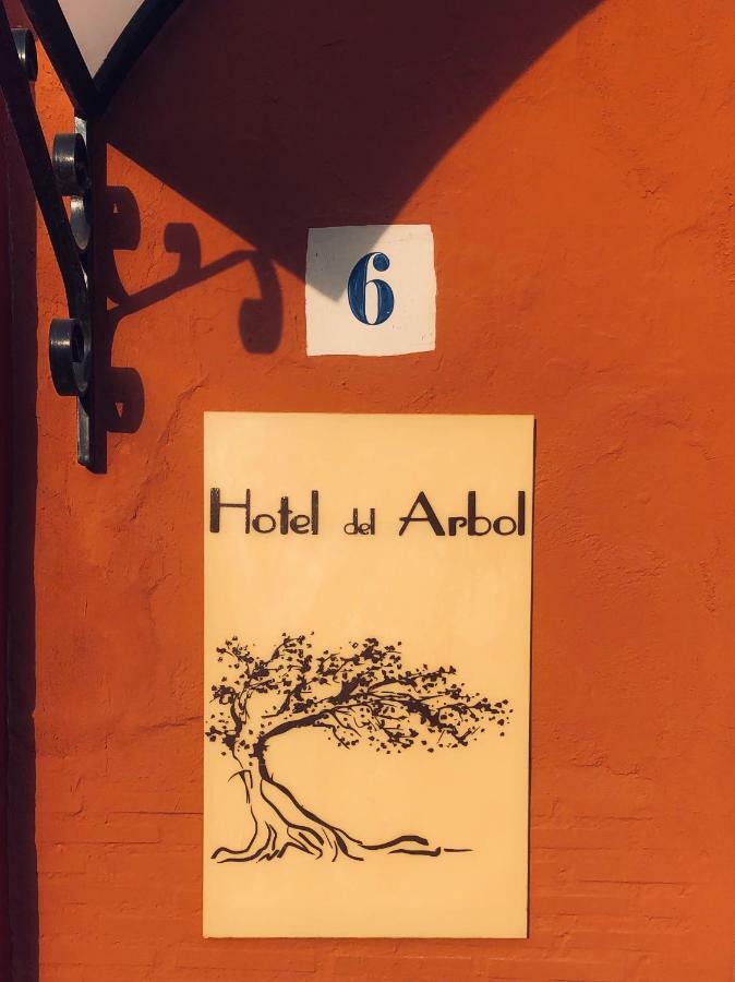 Hotel Del Arbol Xativa Exterior photo